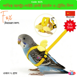 Parrot Ultra-Light Chest Harness & Training Leash with Angel Wings